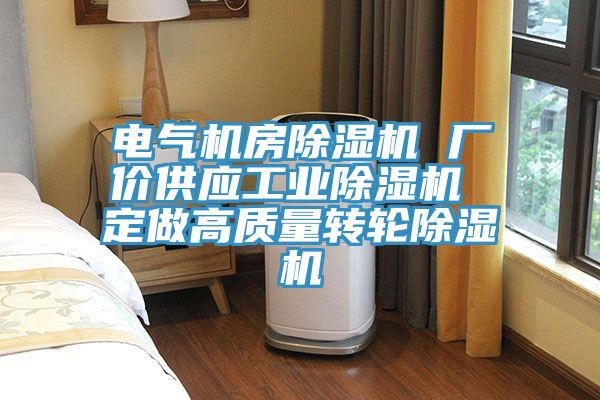 电气机房除湿机 厂价供应工业除湿机 定做高质量转轮除湿机