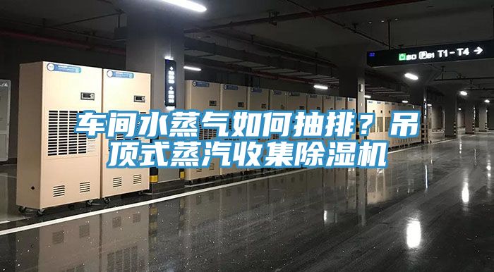 车间水蒸气如何抽排？吊顶式蒸汽收集除湿机