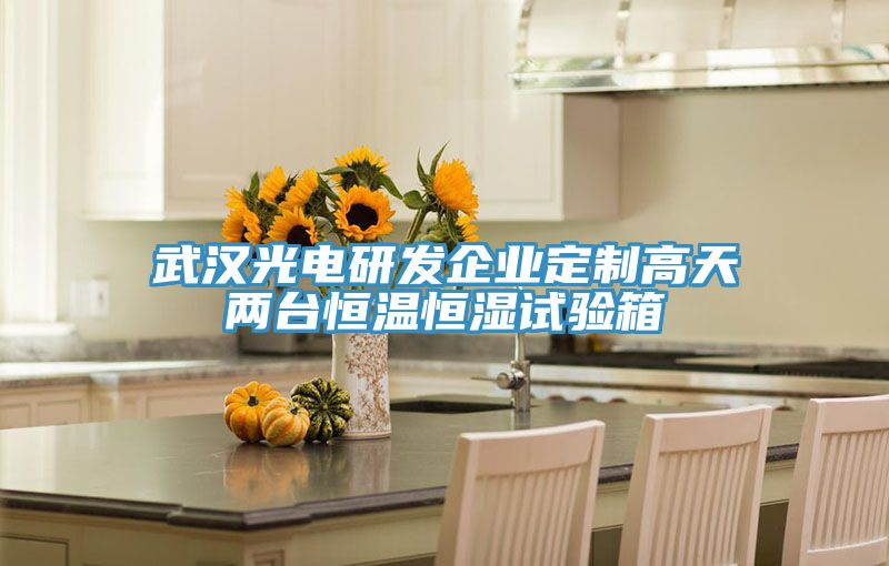 武汉光电研发企业定制高天两台恒温恒湿试验箱