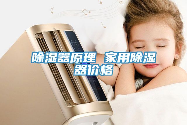 除湿器原理 家用除湿器价格