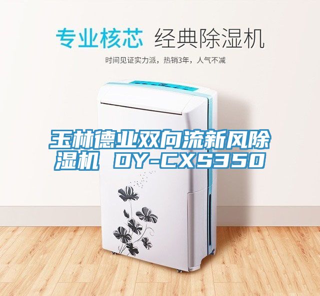 玉林德业双向流新风除湿机 DY-CXS350