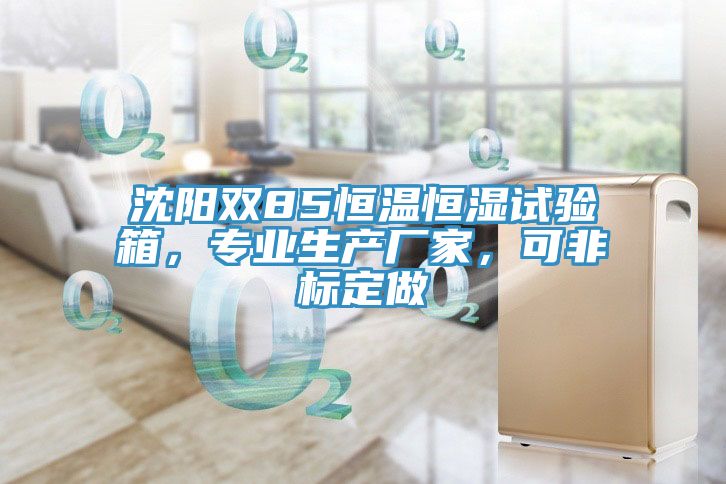 沈阳双85恒温恒湿试验箱，专业生产厂家，可非标定做