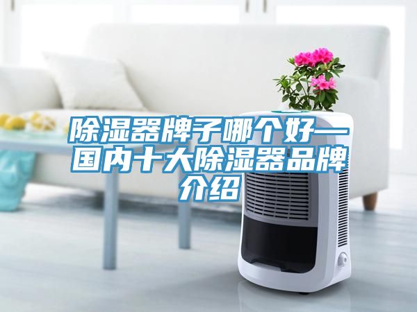 除湿器牌子哪个好—国内十大除湿器品牌介绍