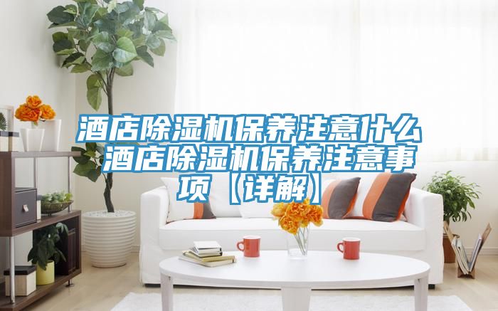 酒店除湿机保养注意什么 酒店除湿机保养注意事项【详解】