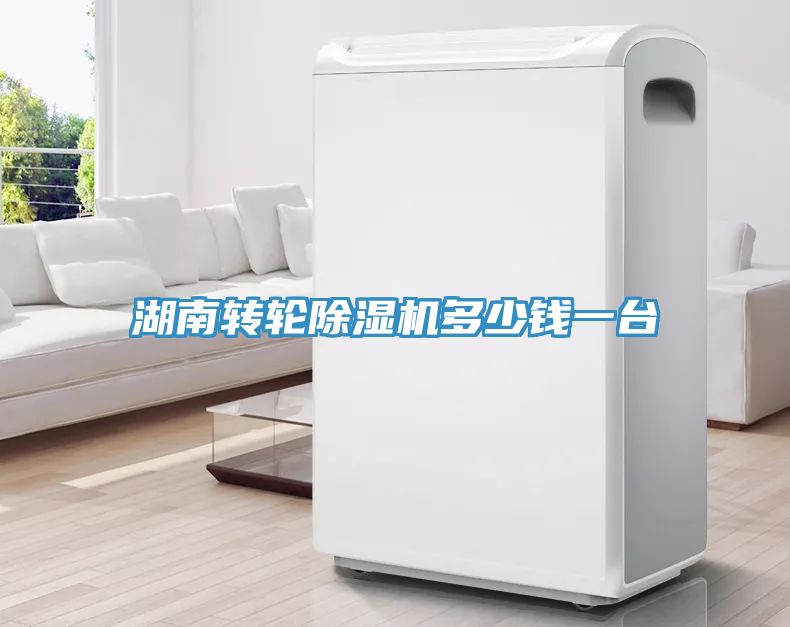 湖南转轮除湿机多少钱一台