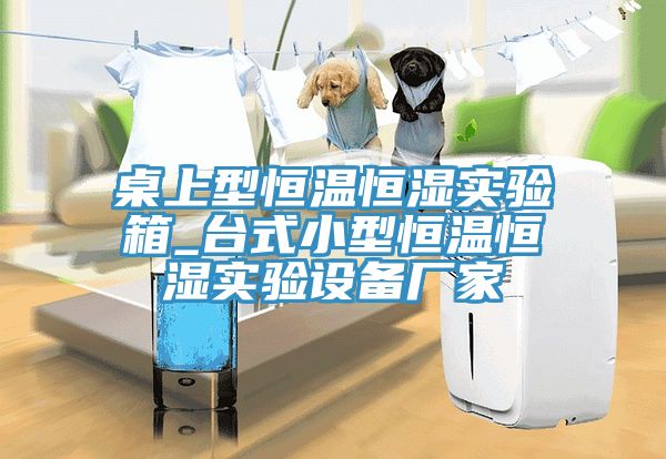 桌上型恒温恒湿实验箱_台式小型恒温恒湿实验设备厂家