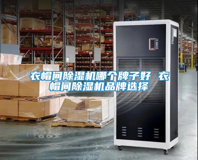 衣帽间除湿机哪个牌子好 衣帽间除湿机品牌选择