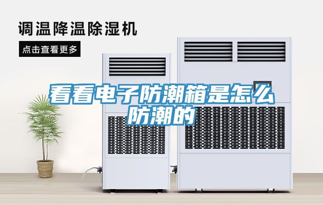 看看电子防潮箱是怎么防潮的