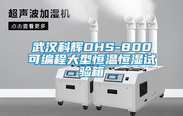 武汉科辉DHS-800可编程大型恒温恒湿试验箱