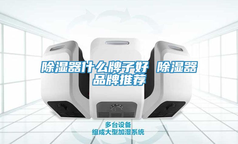 除湿器什么牌子好 除湿器品牌推荐