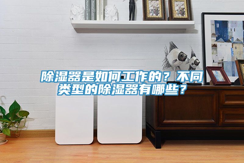 除湿器是如何工作的？不同类型的除湿器有哪些？
