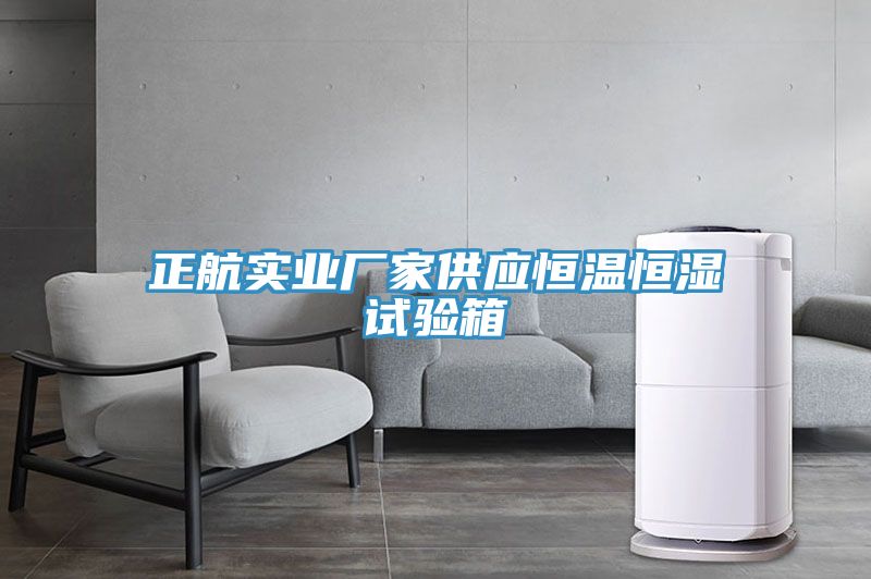 正航实业厂家供应恒温恒湿试验箱