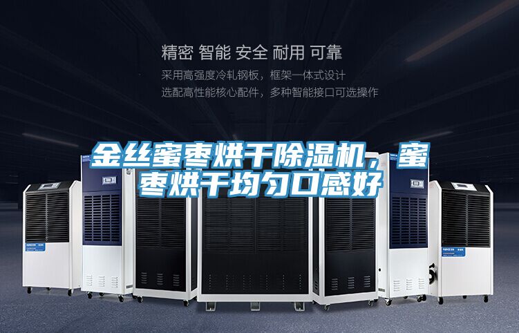 金丝蜜枣烘干除湿机，蜜枣烘干均匀口感好