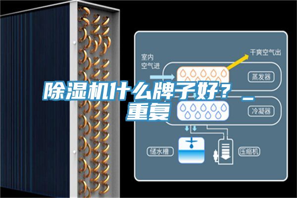 除湿机什么牌子好？_重复