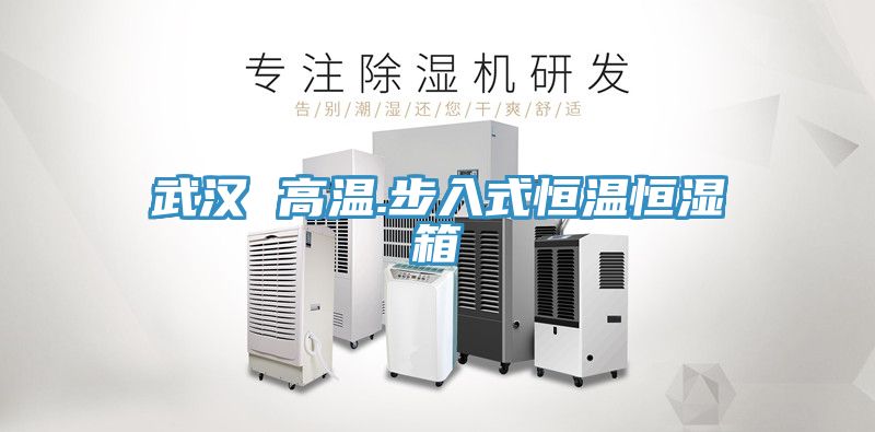 武汉 高温.步入式恒温恒湿箱