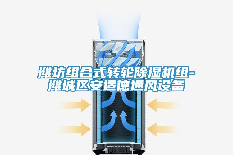 潍坊组合式转轮除湿机组-潍城区安适德通风设备