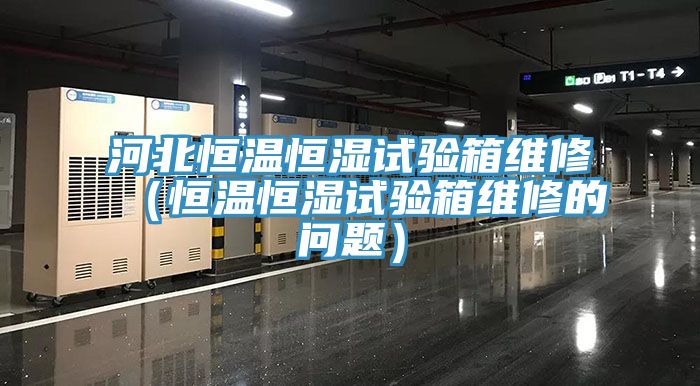 河北恒温恒湿试验箱维修（恒温恒湿试验箱维修的问题）
