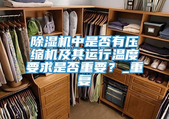 除湿机中是否有压缩机及其运行温度要求是否重要？_重复