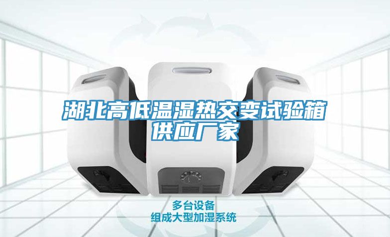 湖北高低温湿热交变试验箱供应厂家
