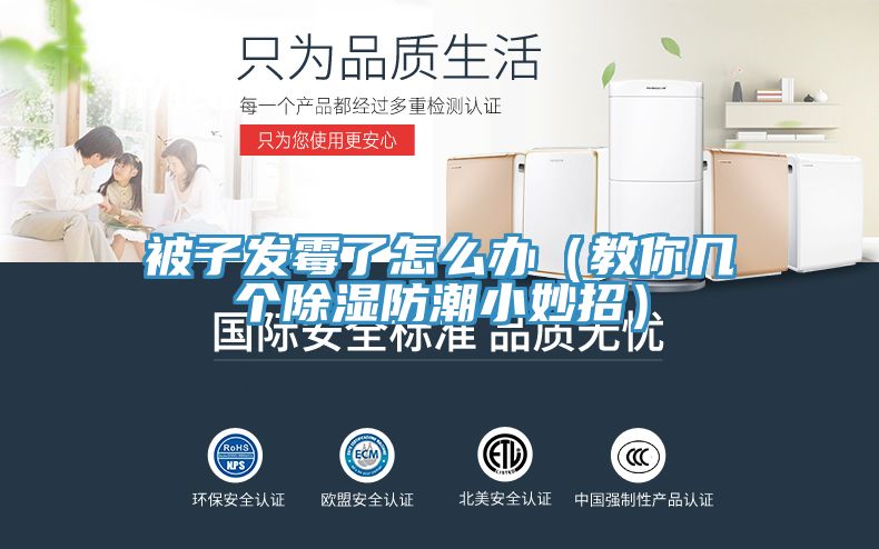 被子发霉了怎么办（教你几个除湿防潮小妙招）