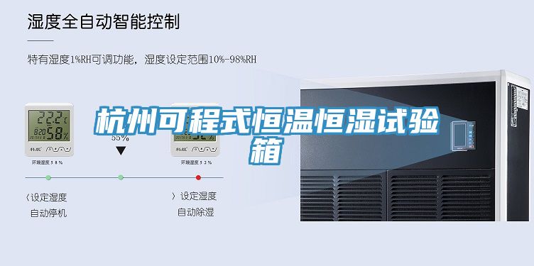 杭州可程式恒温恒湿试验箱