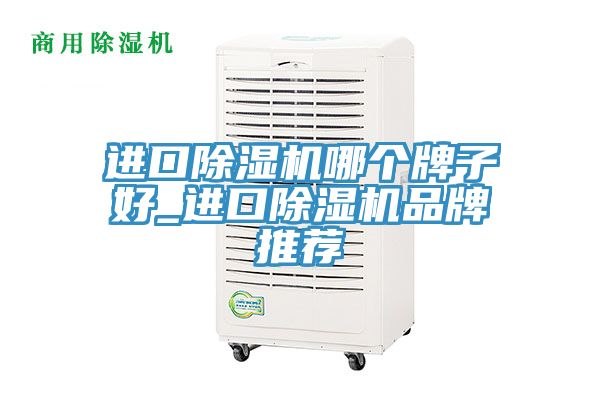 进口除湿机哪个牌子好_进口除湿机品牌推荐