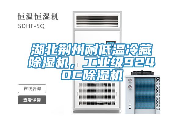 湖北荆州耐低温冷藏除湿机，工业级9240C除湿机