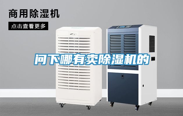 问下哪有卖除湿机的