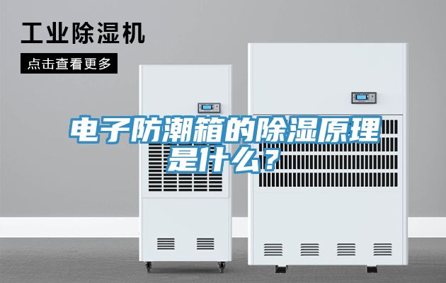 电子防潮箱的除湿原理是什么？