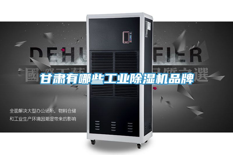甘肃有哪些工业除湿机品牌