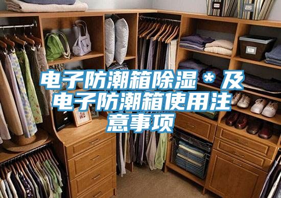 电子防潮箱除湿＊及电子防潮箱使用注意事项