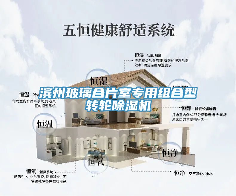 滨州玻璃合片室专用组合型转轮除湿机