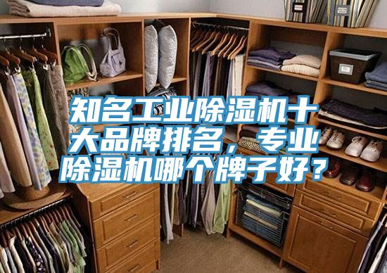 知名工业除湿机十大品牌排名，专业除湿机哪个牌子好？