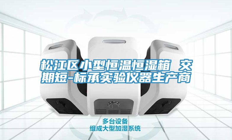 松江区小型恒温恒湿箱 交期短-标承实验仪器生产商