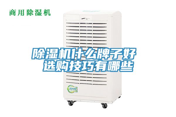除湿机什么牌子好 选购技巧有哪些