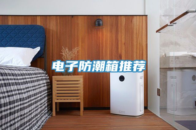 电子防潮箱推荐
