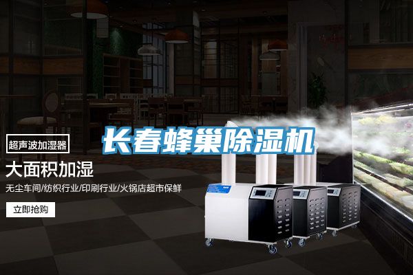长春蜂巢除湿机