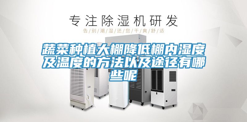 蔬菜种植大棚降低棚内湿度及温度的方法以及途径有哪些呢