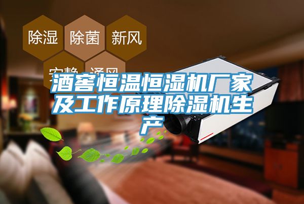 酒窖恒温恒湿机厂家及工作原理除湿机生产