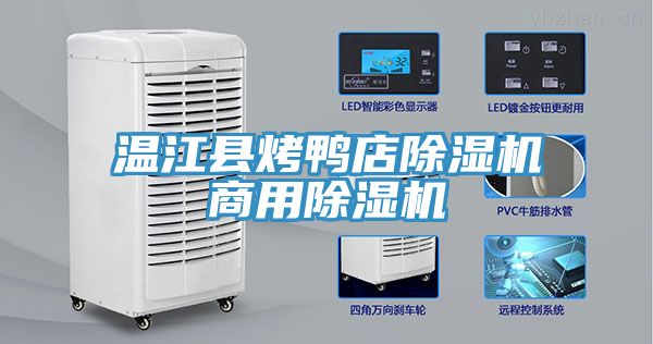 温江县烤鸭店除湿机商用除湿机