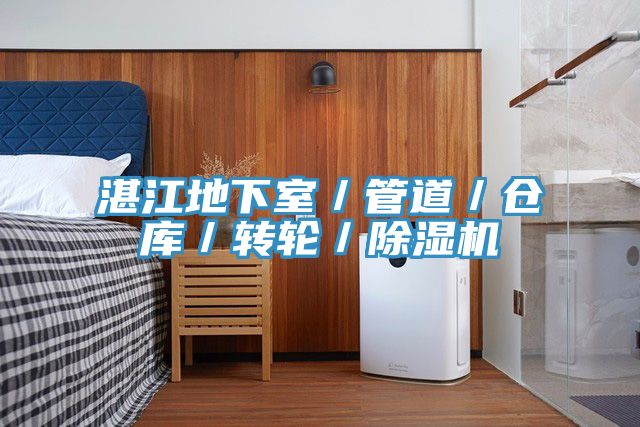 湛江地下室／管道／仓库／转轮／除湿机
