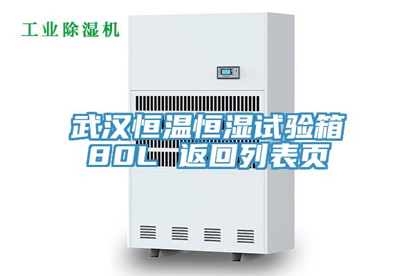 武汉恒温恒湿试验箱80L 返回列表页