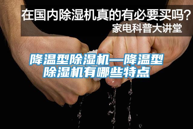 降温型除湿机—降温型除湿机有哪些特点