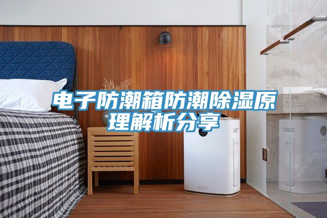 电子防潮箱防潮除湿原理解析分享