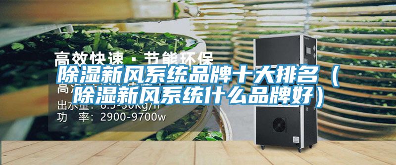 除湿新风系统品牌十大排名（除湿新风系统什么品牌好）
