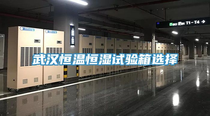 武汉恒温恒湿试验箱选择