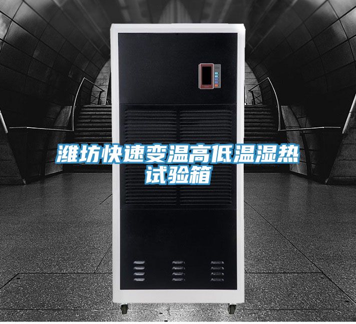 潍坊快速变温高低温湿热试验箱