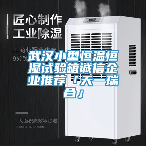 武汉小型恒温恒湿试验箱诚信企业推荐「天一瑞合」