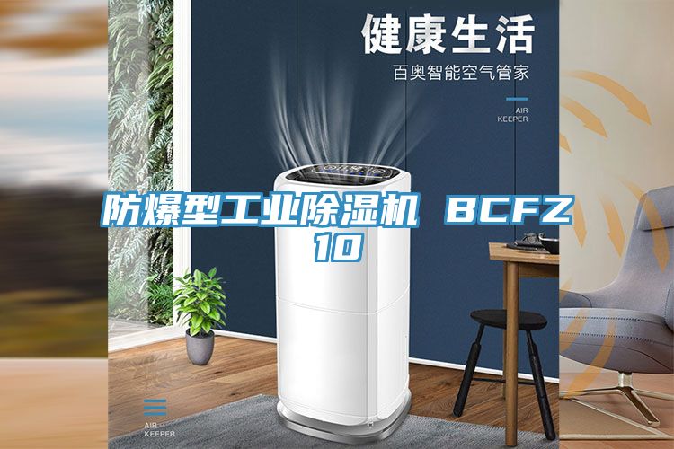 防爆型工业除湿机 BCFZ10