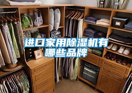 进口家用除湿机有哪些品牌